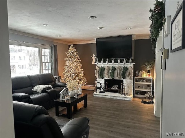 living room featuring crown molding and wood finished floors