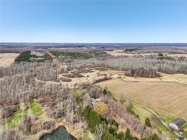 1465 Genesee St, Pembroke, NY 14036 - birds eye view of property with a rural view