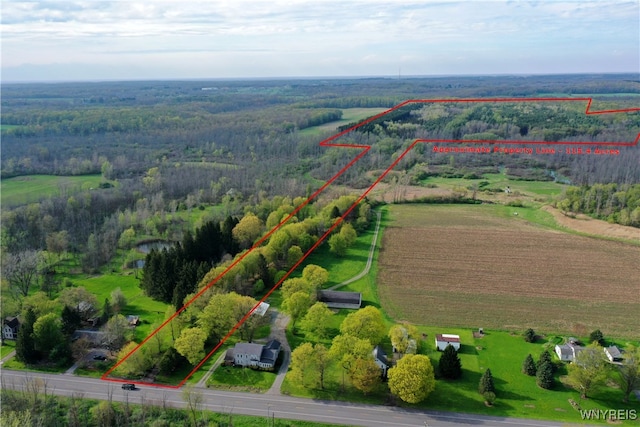 1465 Genesee St, Pembroke, NY 14036 - birds eye view of property featuring a rural view and a wooded view