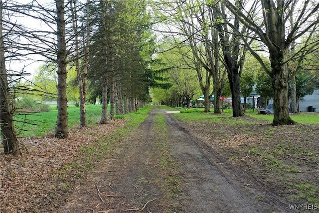 1465 Genesee St, Pembroke, NY 14036 - view of street