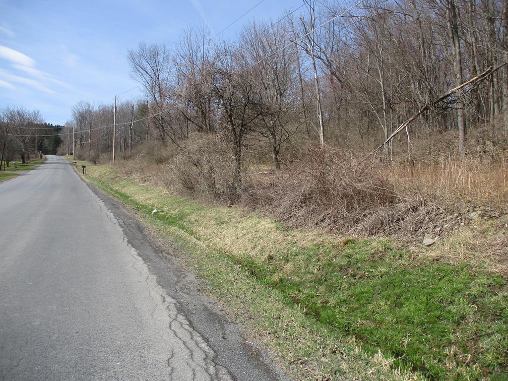 188 Orchard Hill Rd, Horseheads, NY 14903 - photo 1