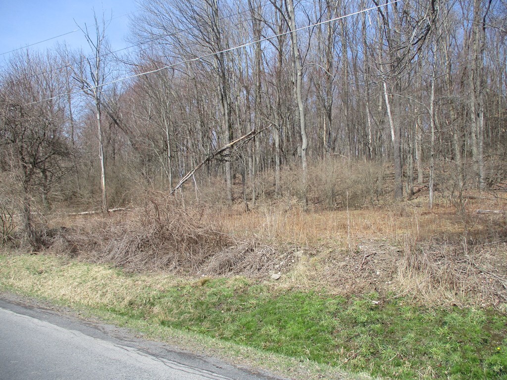 188 Orchard Hill Rd, Horseheads, NY 14903 - photo 2