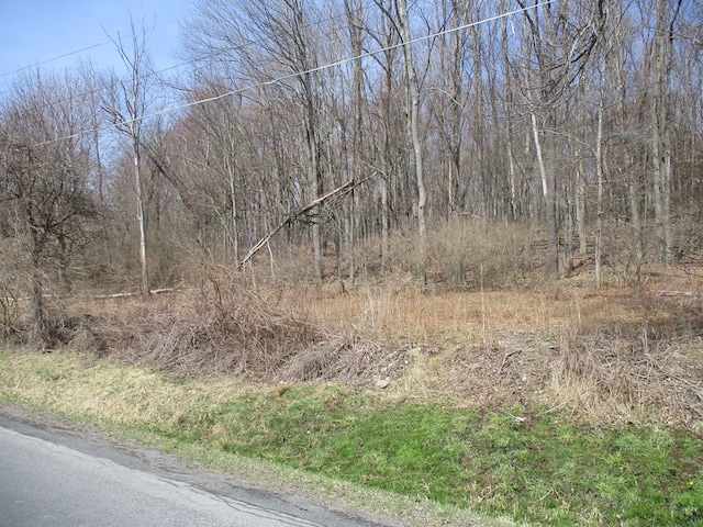 188 Orchard Hill Rd, Horseheads, NY 14903 - photo 2