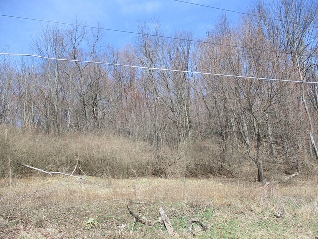 188 Orchard Hill Rd, Horseheads, NY 14903 - photo 3