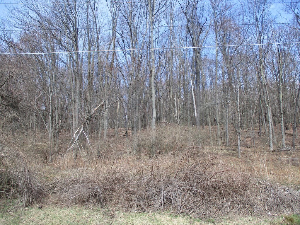 188 Orchard Hill Rd, Horseheads, NY 14903 - photo 4