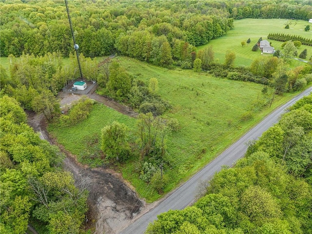 175 Bremm Rd, Boylston, NY 13083