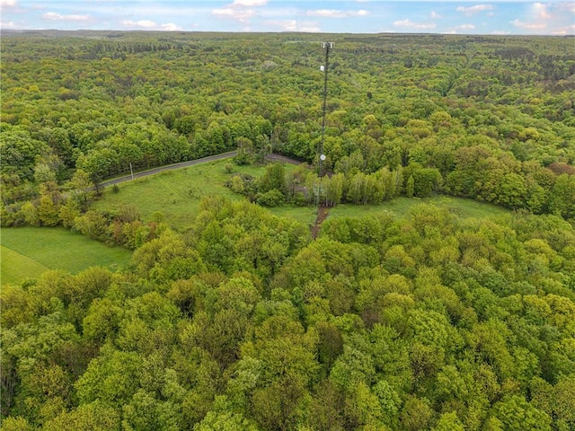 175 Bremm Rd, Boylston, NY 13083
