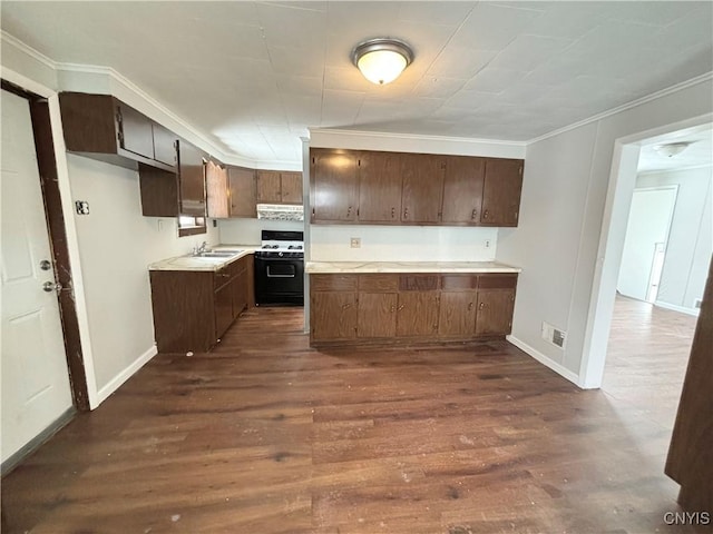 149 River St, Rome-Inside, NY 13440 - kitchen with dark wood-style flooring, ornamental molding, light countertops, range with gas cooktop, and a sink