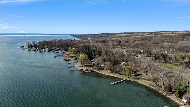 5249 N Kashong Pt, Geneva-Town, NY 14456 - photo 2
