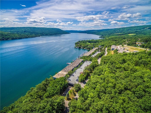 5572 Lakewood Trl, South Bristol, NY 14424 - aerial view with a wooded view and a water view