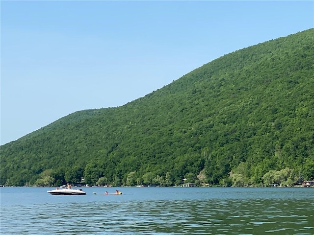 5572 Lakewood Trl, South Bristol, NY 14424 - property view of water featuring a view of trees and a mountain view