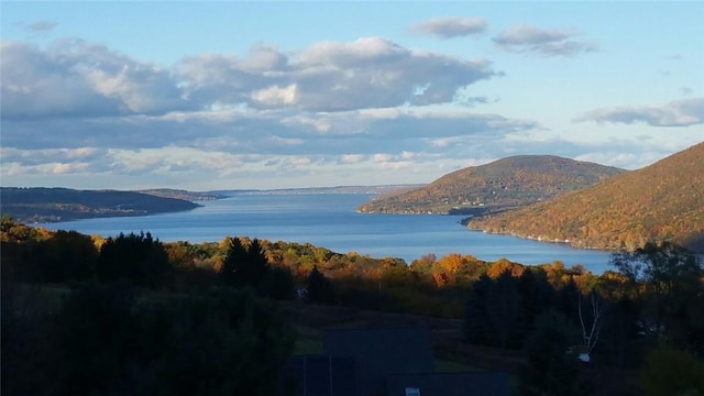 5572 Lakewood Trl, South Bristol, NY 14424 - water view with a forest view and a mountain view