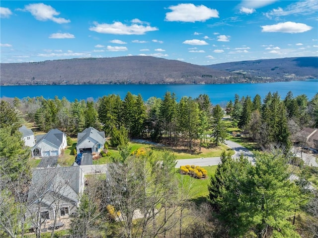 5572 Lakewood Trl, South Bristol, NY 14424 - birds eye view of property with a water and mountain view