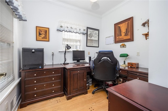5572 Lakewood Trl, South Bristol, NY 14424 - office area with light wood-type flooring and ornamental molding