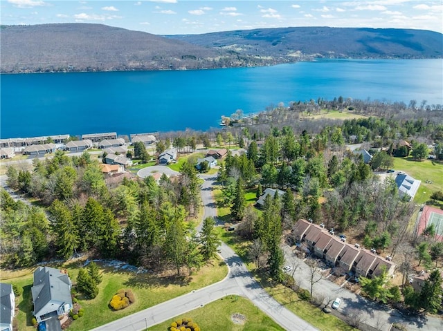 5572 Lakewood Trl, South Bristol, NY 14424 - aerial view with a residential view and a water and mountain view