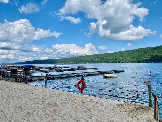 5572 Lakewood Trl, South Bristol, NY 14424 - view of dock with a water view and a forest view