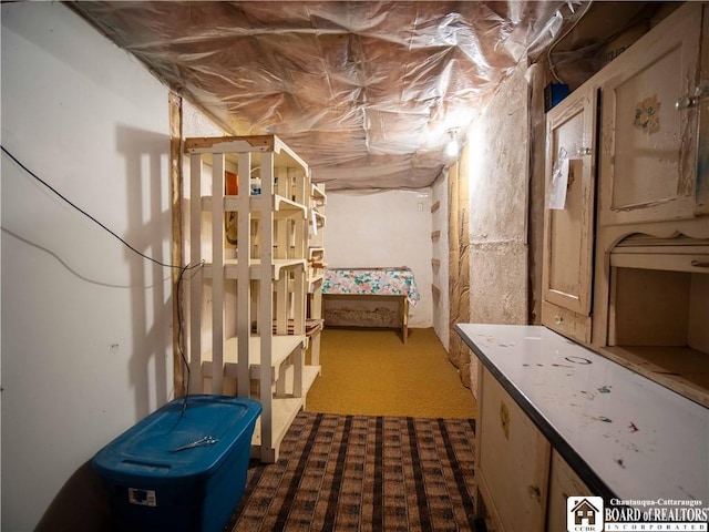 unfinished basement featuring carpet flooring