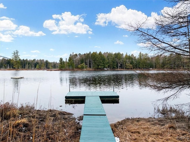 view of dock with a forest view and a water view