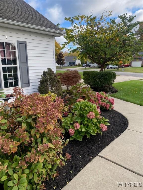 253 Glenvale Rd, Porter, NY 14174 - view of yard