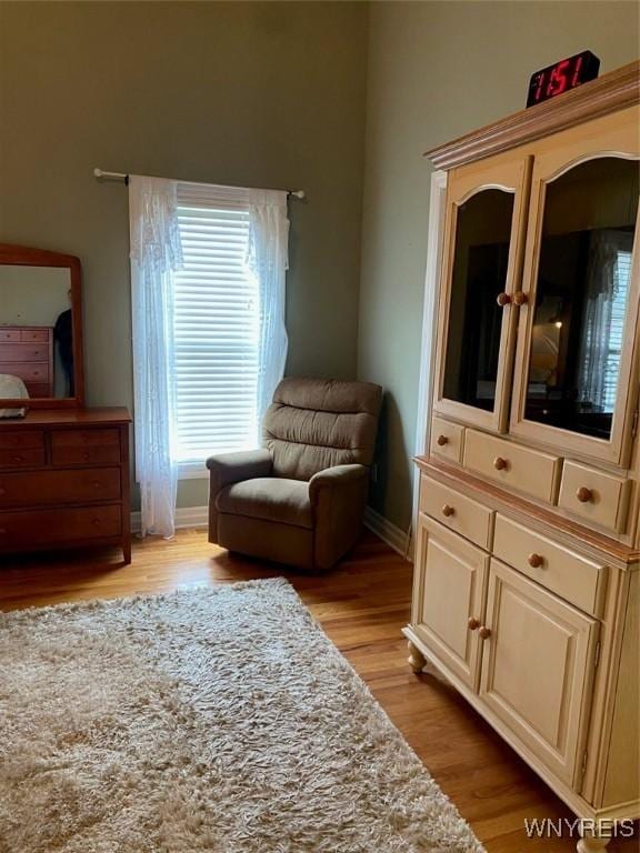 253 Glenvale Rd, Porter, NY 14174 - living area featuring light wood-type flooring and baseboards