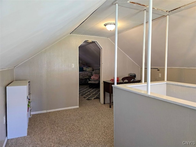 3012 Pleasant Ave, Vienna, NY 13308 - bonus room with carpet floors and lofted ceiling