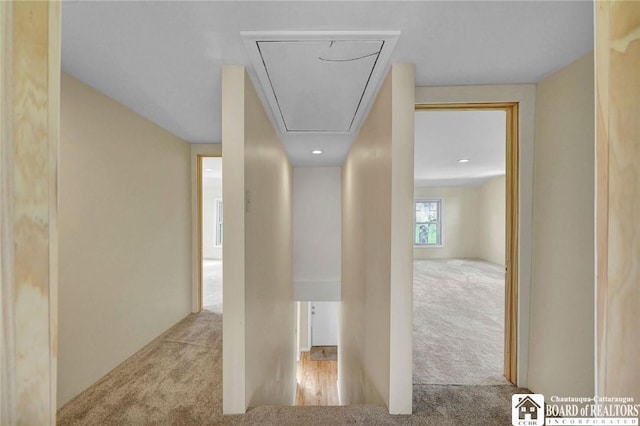 9056 Gross Rd, Cuba, NY 14727 - hallway featuring carpet flooring and attic access