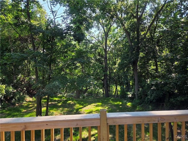 53 Owasco St, Auburn, NY 13021 - photo 33