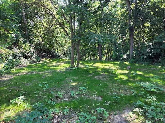 53 Owasco St, Auburn, NY 13021 - photo 37