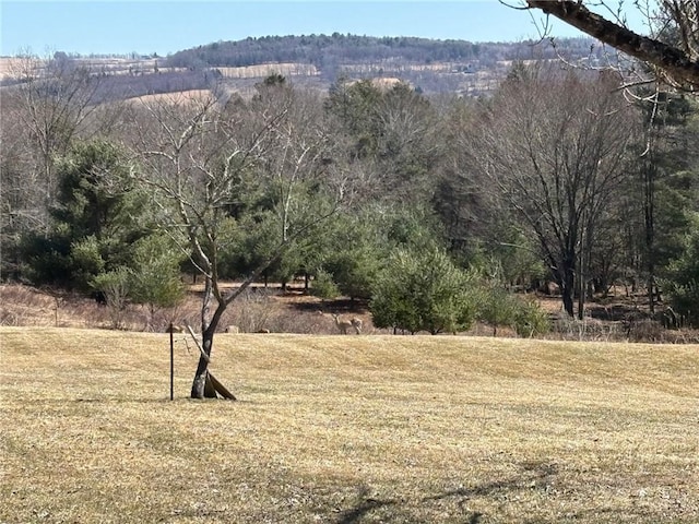view of mountain feature