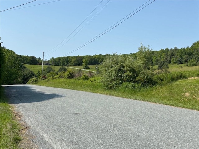 215 Kautz Rd, Delaware, NY 12723 - view of asphalt street