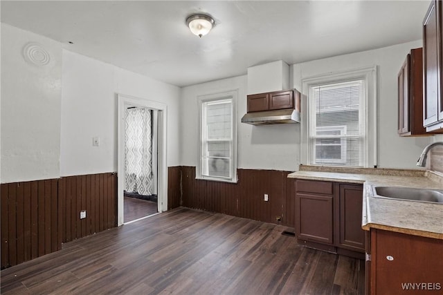 kitchen with a sink, a wainscoted wall, a wealth of natural light, and dark wood-type flooring