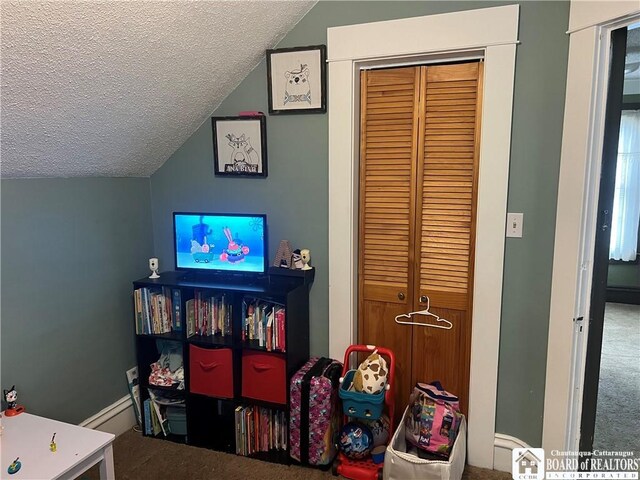 9 Columbia Ave, Ellicott, NY 14701 - rec room featuring carpet floors, a textured ceiling, and lofted ceiling
