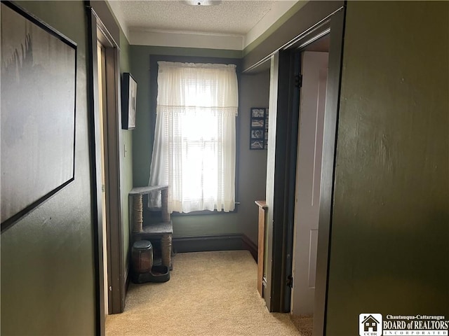 9 Columbia Ave, Ellicott, NY 14701 - hallway with light carpet, baseboards, and a textured ceiling