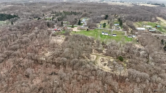 bird's eye view