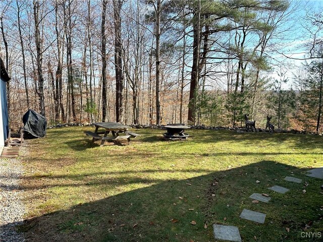 116 Aldrich Rd/Prvt, Oswegatchie, NY 13670