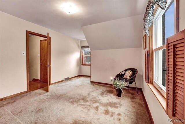 339 Lincoln Ave, Lockport-City, NY 14094 - bonus room with visible vents, baseboards, and carpet