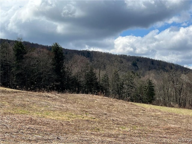951 County Road 42, Pharsalia, NY 13155