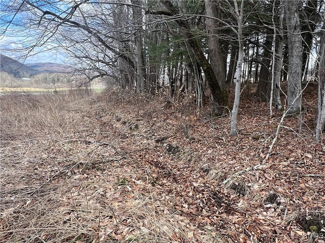 951 County Road 42, Pharsalia, NY 13155