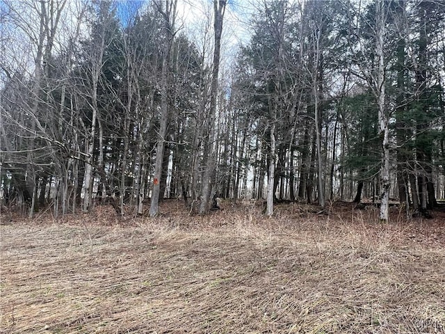 951 County Road 42, Pharsalia, NY 13155