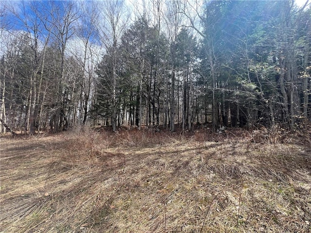 951 County Road 42, Pharsalia, NY 13155