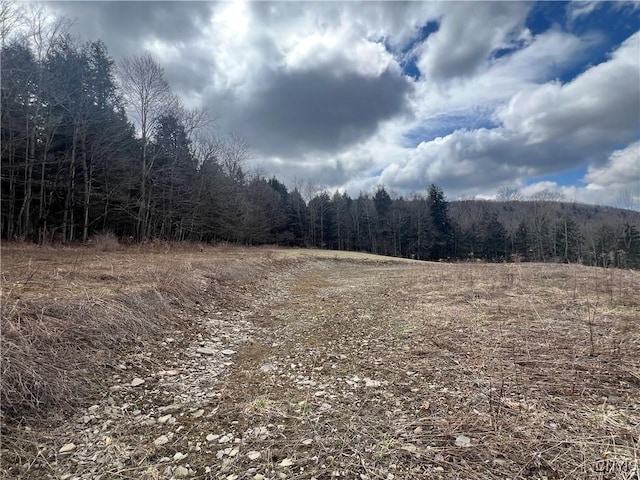 951 County Road 42, Pharsalia, NY 13155