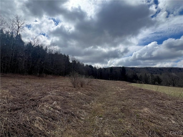 951 County Road 42, Pharsalia, NY 13155