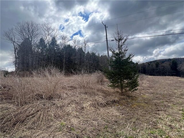 951 County Road 42, Pharsalia, NY 13155