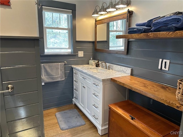 bathroom featuring a healthy amount of sunlight, wood finished floors, and vanity