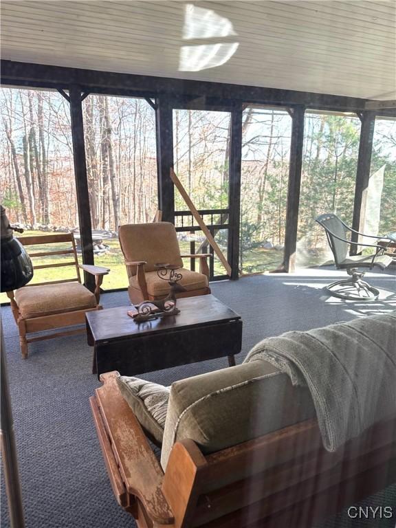 sunroom / solarium with carpet