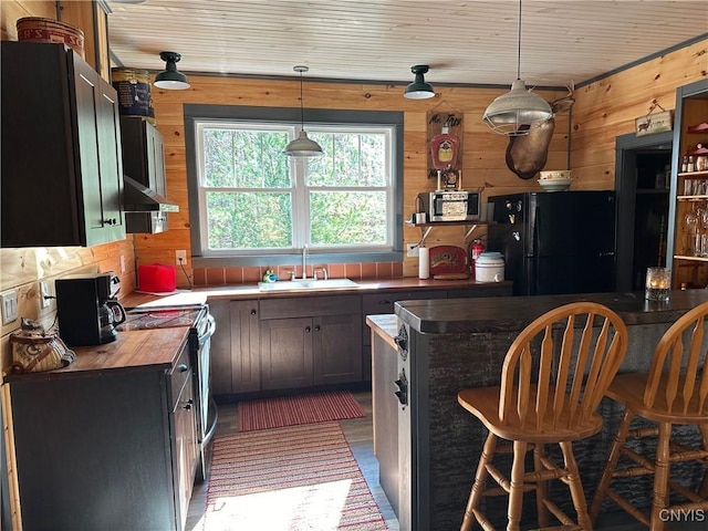 kitchen with a sink, freestanding refrigerator, stainless steel electric stove, butcher block counters, and wooden walls