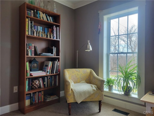 165 Howe St, Le Ray, NY 13612 - living area with carpet, plenty of natural light, baseboards, and crown molding