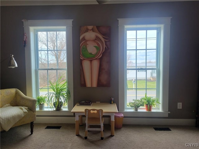 165 Howe St, Le Ray, NY 13612 - living area with plenty of natural light and carpet flooring