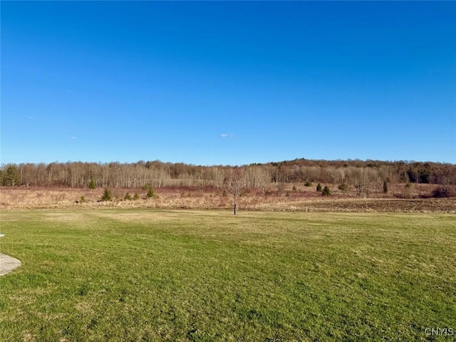view of yard with a rural view
