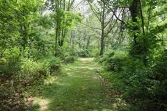 16441 W Lake Rd, Pulteney, NY 14418 - view of local wilderness with a wooded view